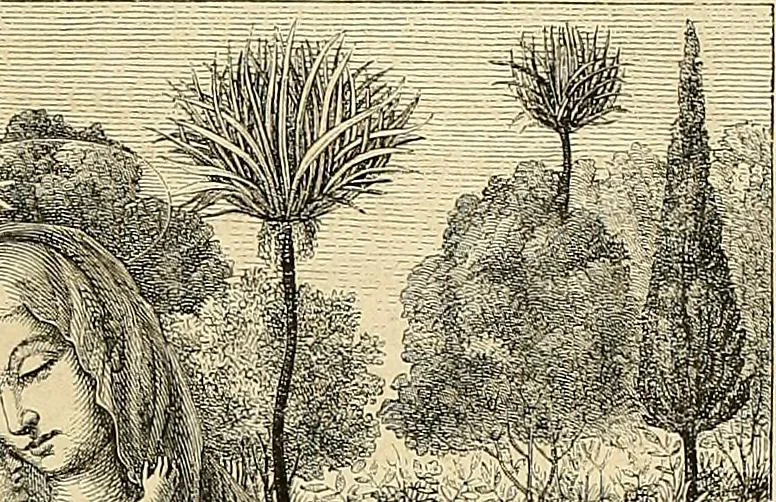 An illustration from Gazette des beaux-arts, 1859, leaf 398