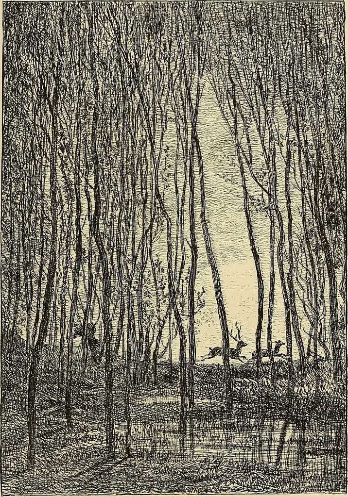 An illustration from Gazette des beaux-arts, 1859, leaf 504