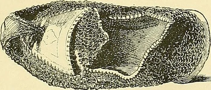 An illustration from Gazette des beaux-arts, 1859, leaf 71