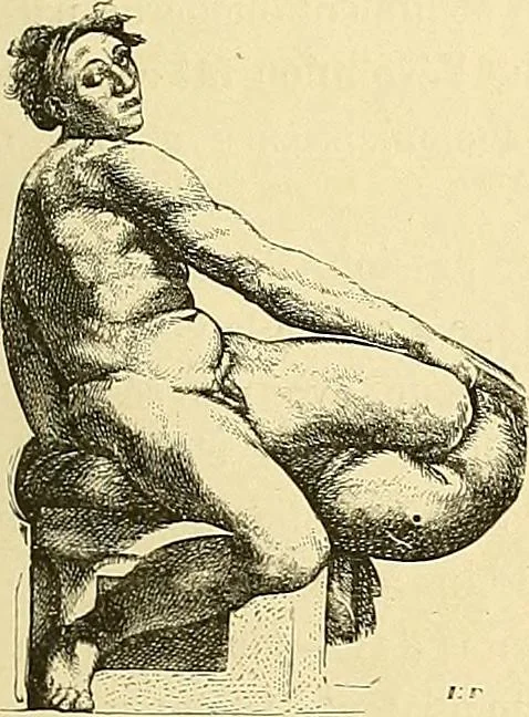 An illustration from Gazette des beaux-arts, 1859, leaf 129
