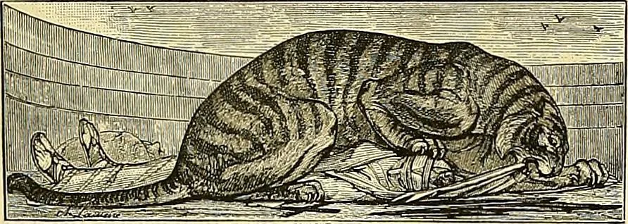 An illustration from Gazette des beaux-arts, 1859, leaf 409