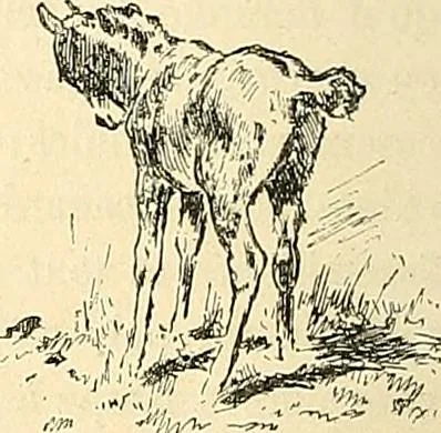 An illustration from Gazette des beaux-arts, 1859, leaf 488