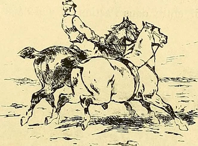An illustration from Gazette des beaux-arts, 1859, leaf 495