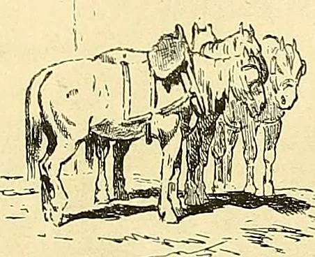 An illustration from Gazette des beaux-arts, 1859, leaf 497