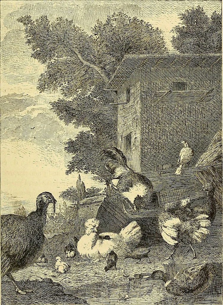 An illustration from Gazette des beaux-arts, 1859, leaf 557