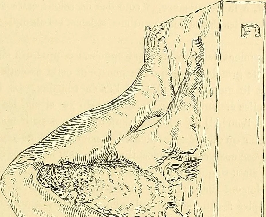 An illustration from Gazette des beaux-arts, 1859, leaf 65