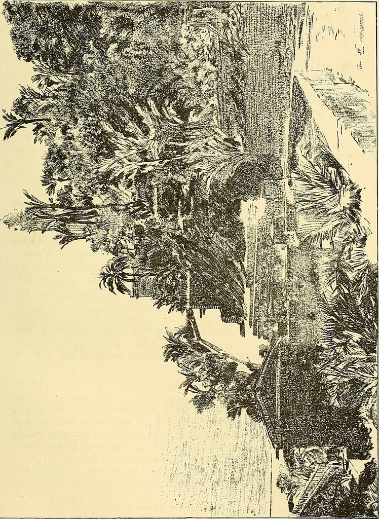 An illustration from Gazette des beaux-arts, 1859, leaf 733