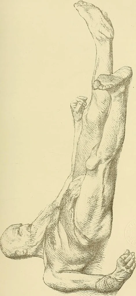 An illustration from Gazette des beaux-arts, 1859, leaf 249