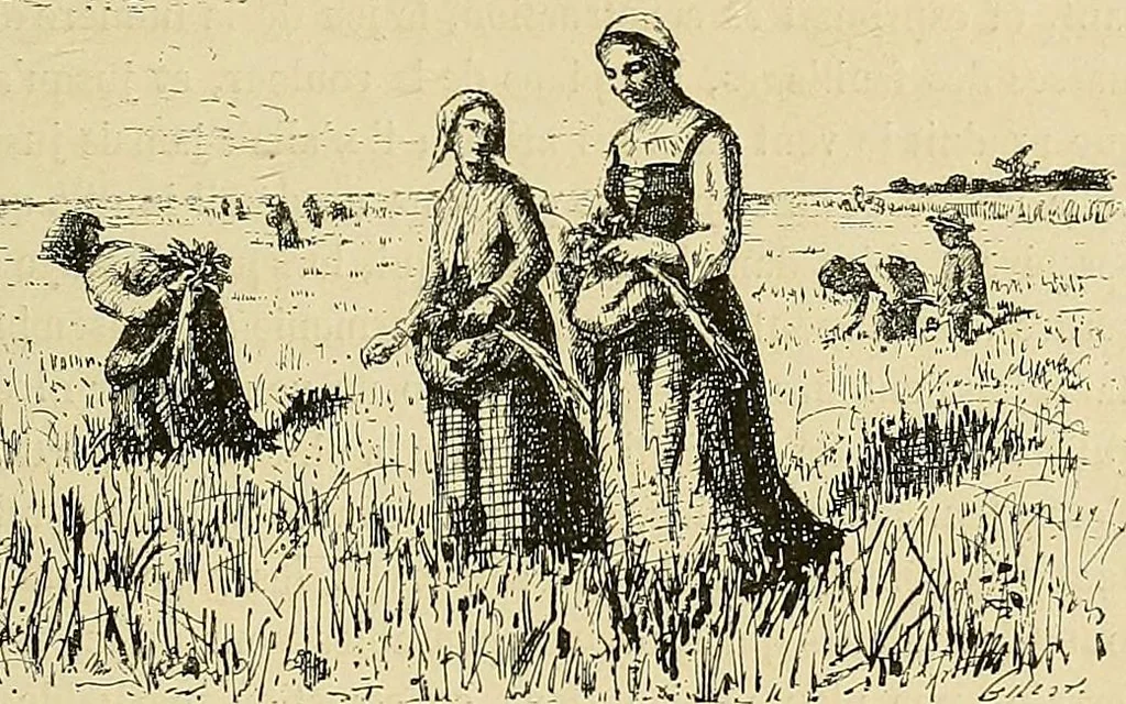 An illustration from Gazette des beaux-arts, 1859, leaf 37