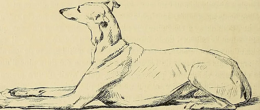 An illustration from Gazette des beaux-arts, 1859, leaf 374
