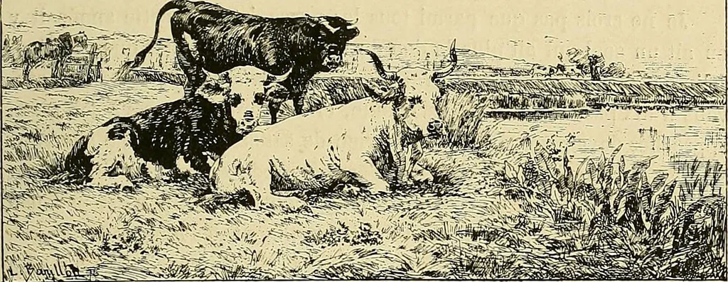 An illustration from Gazette des beaux-arts, 1859, leaf 41