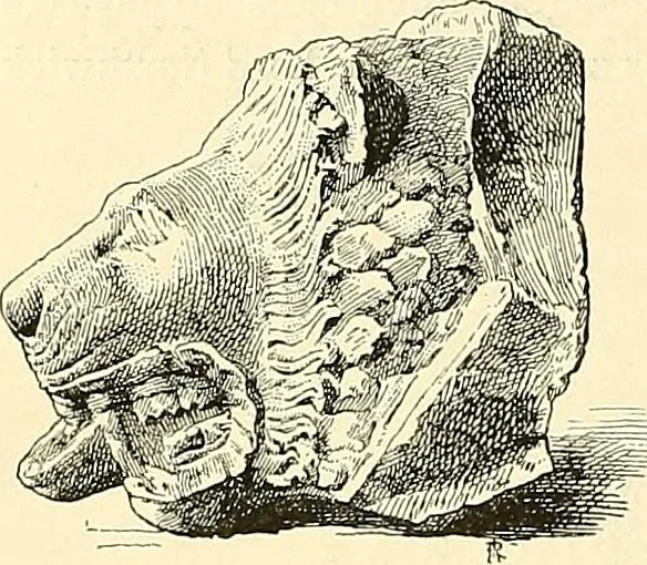 An illustration from Gazette des beaux-arts, 1859, leaf 146