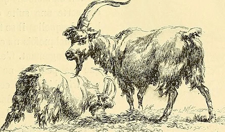 An illustration from Gazette des beaux-arts, 1859, leaf 187