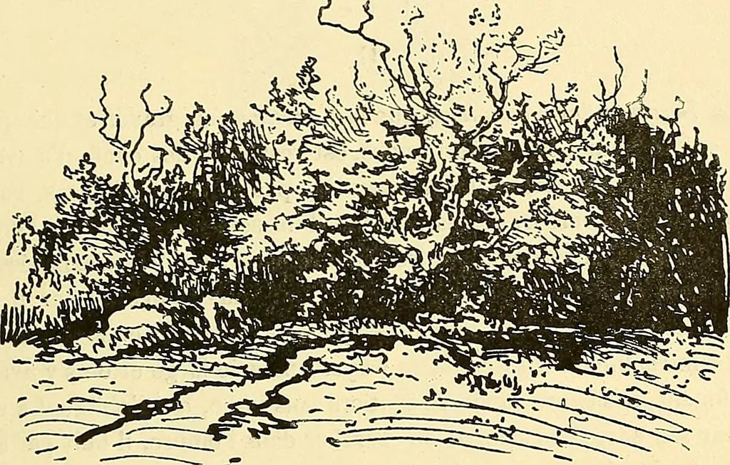 An illustration from Gazette des beaux-arts, 1859, leaf 313