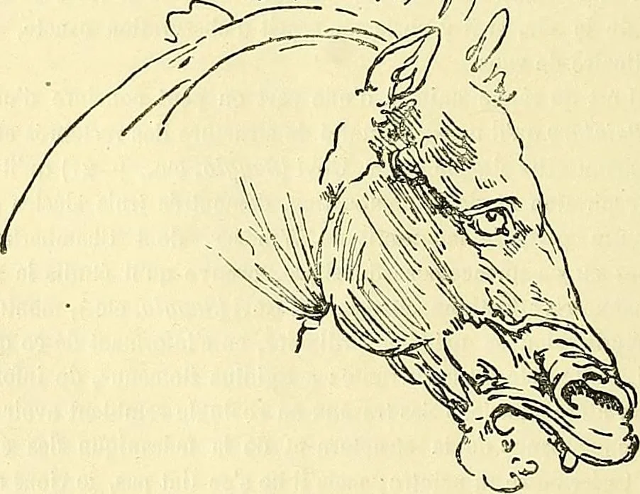 An illustration from Gazette des beaux-arts, 1859, leaf 382
