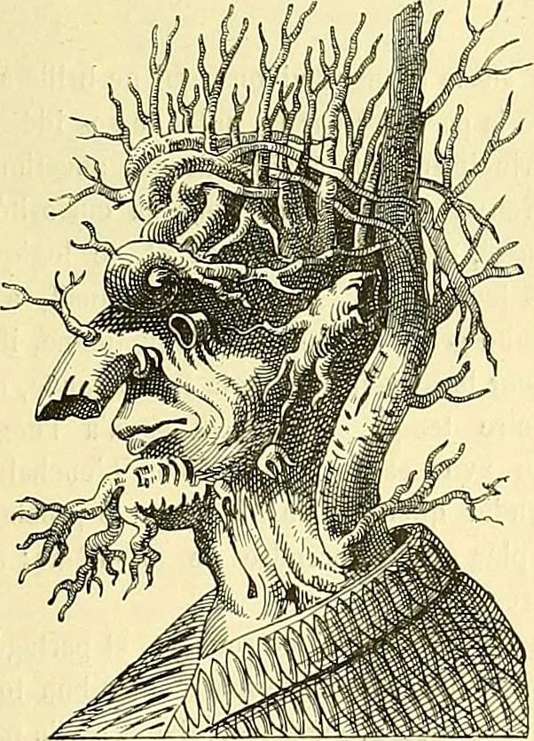 An illustration from Gazette des beaux-arts, 1859, leaf 515