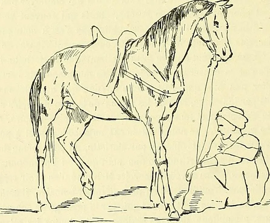 An illustration from Gazette des beaux-arts, 1859, leaf 105