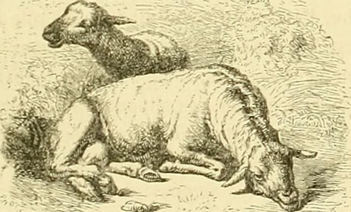 An illustration from Gazette des beaux-arts, 1859, leaf 156