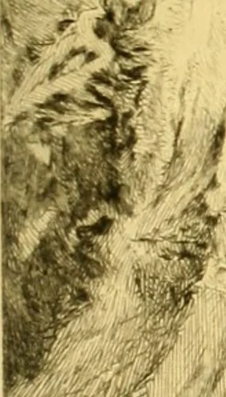 An illustration from Gazette des beaux-arts, 1859, leaf 178