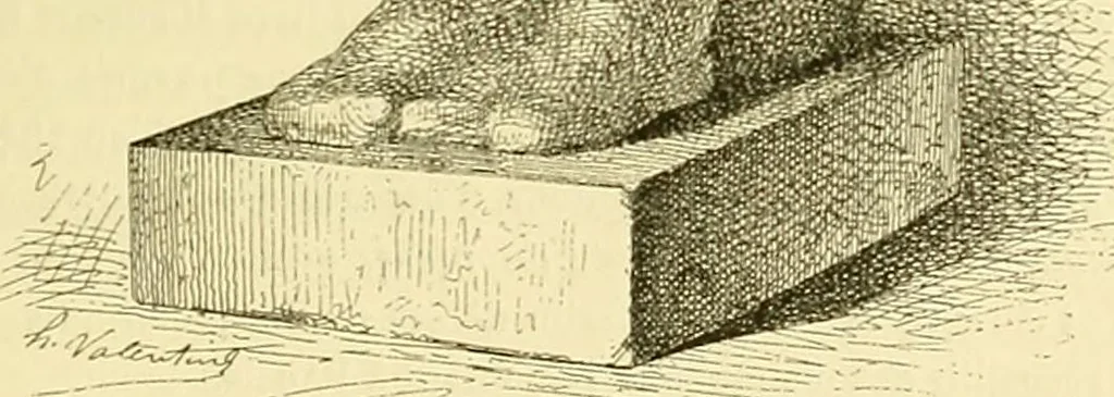 An illustration from Gazette des beaux-arts, 1859, leaf 246