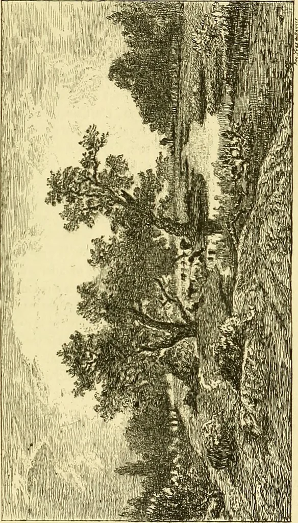 An illustration from Gazette des beaux-arts, 1859, leaf 502