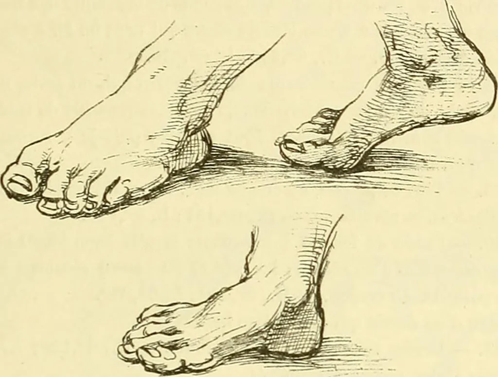 An illustration from Gazette des beaux-arts, 1859, leaf 76