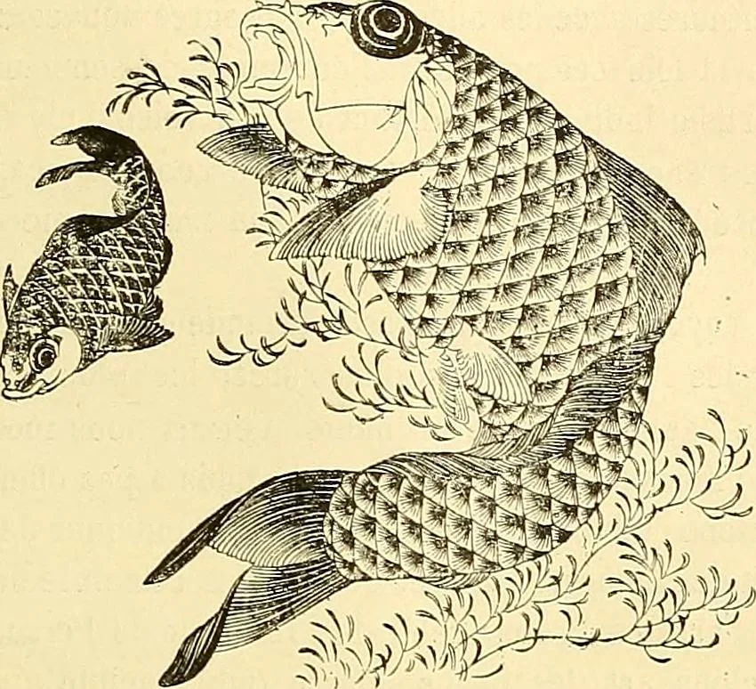 An illustration from Gazette des beaux-arts, 1859, leaf 1099