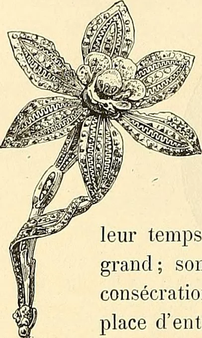 An illustration from Gazette des beaux-arts, 1859, leaf 268