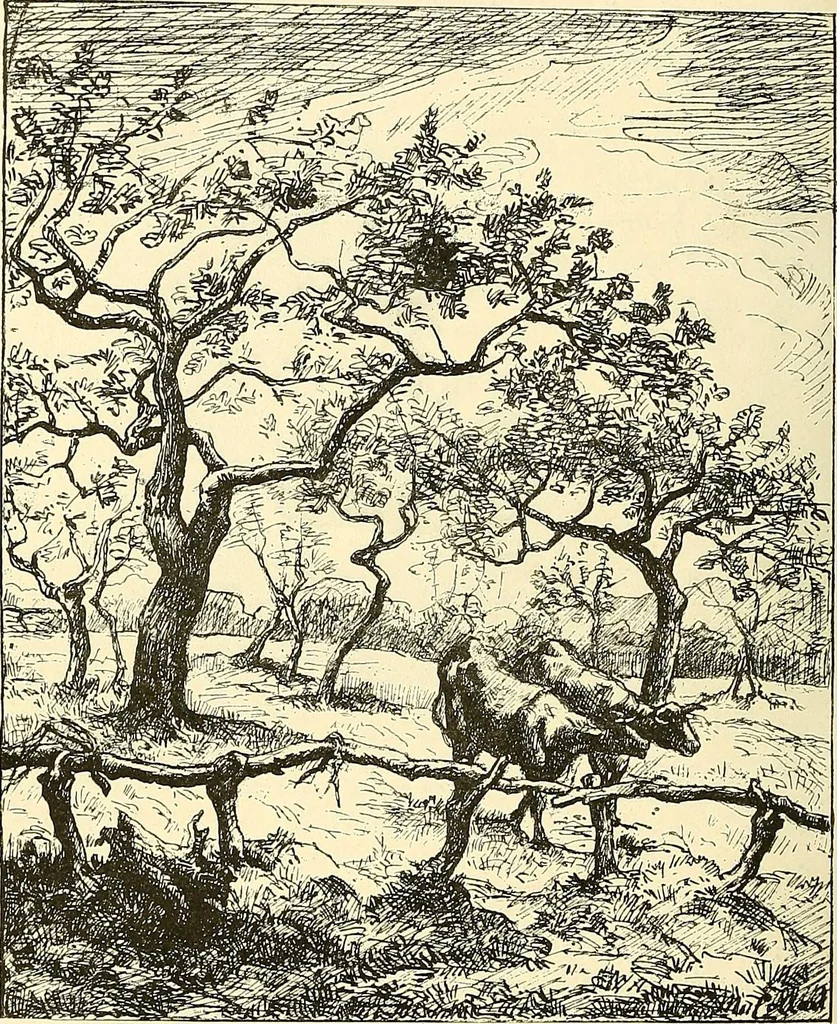 An illustration from Gazette des beaux-arts, 1859, leaf 316