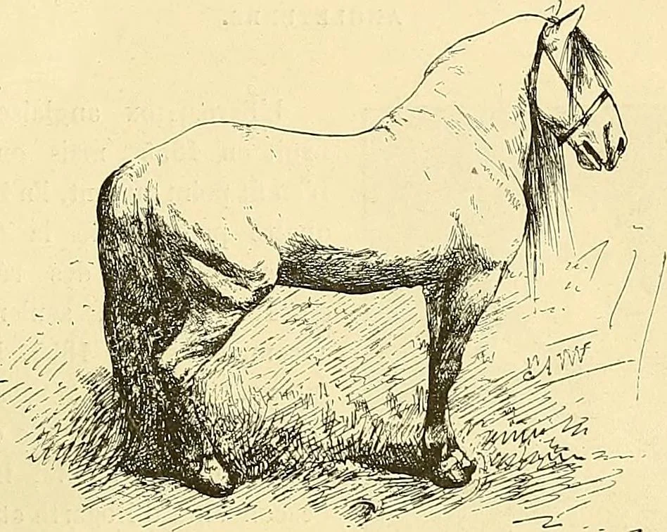 An illustration from Gazette des beaux-arts, 1859, leaf 317