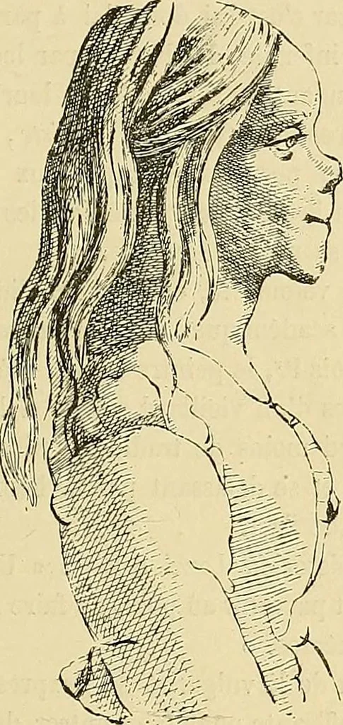 An illustration from Gazette des beaux-arts, 1859, leaf 209