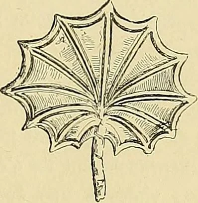 An illustration from Gazette des beaux-arts, 1859, leaf 363