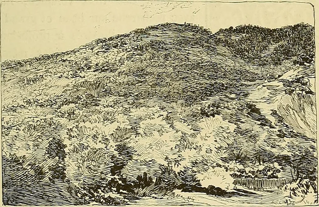 An illustration from Gazette des beaux-arts, 1859, leaf 537