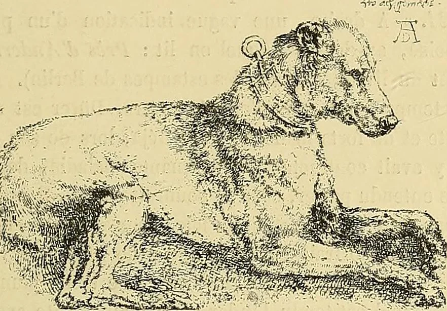 An illustration from Gazette des beaux-arts, 1859, leaf 87