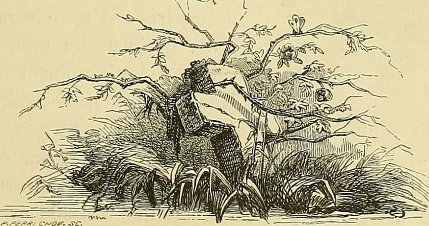 An illustration from Gazette des beaux-arts, 1859, leaf 136