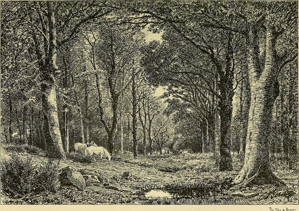 An illustration from Gazette des beaux-arts, 1859, leaf 56