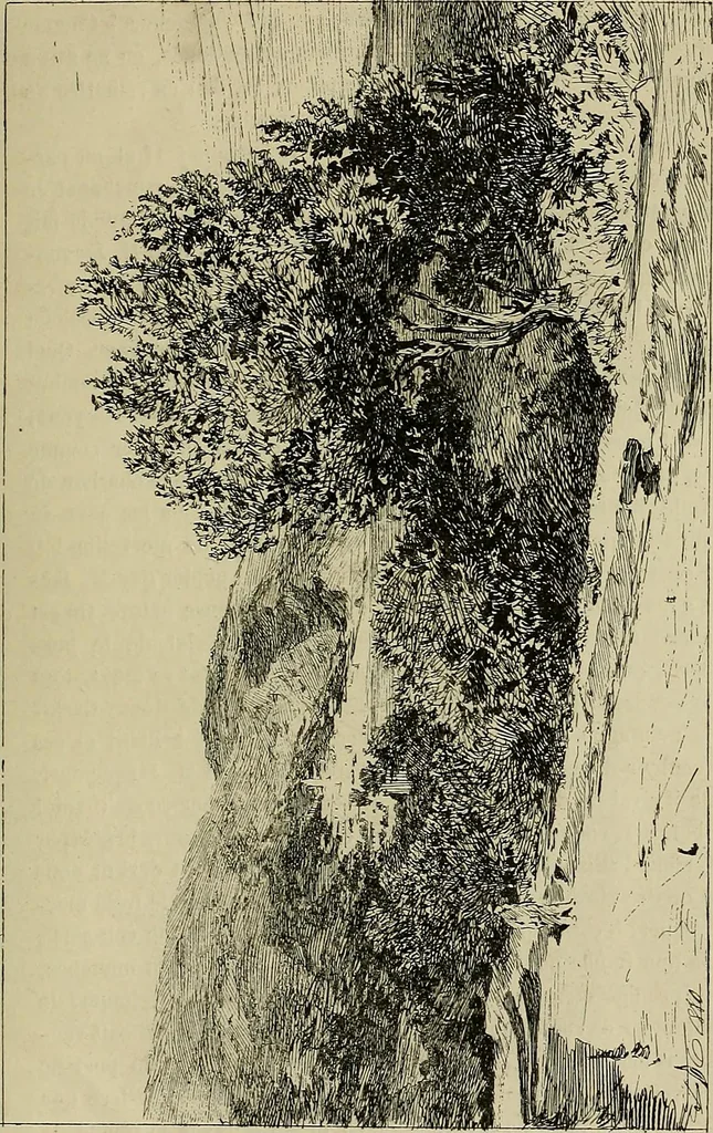 An illustration from Gazette des beaux-arts, 1859, leaf 391