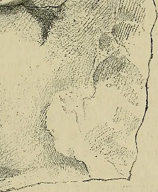 An illustration from Gazette des beaux-arts, 1859, leaf 445
