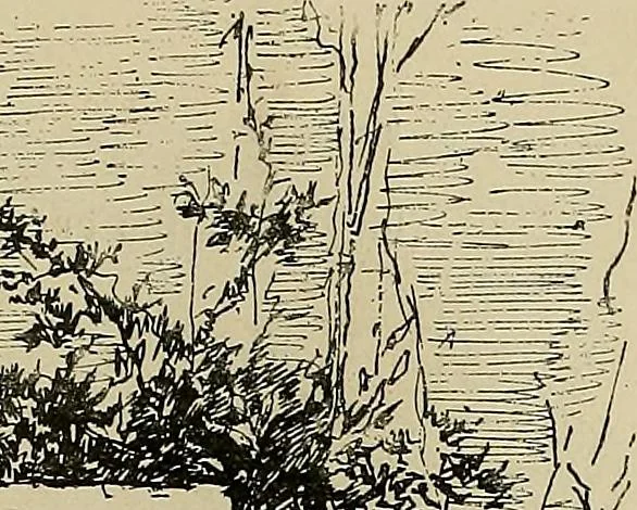An illustration from Gazette des beaux-arts, 1859, leaf 497