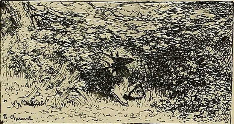 An illustration from Gazette des beaux-arts, 1859, leaf 501