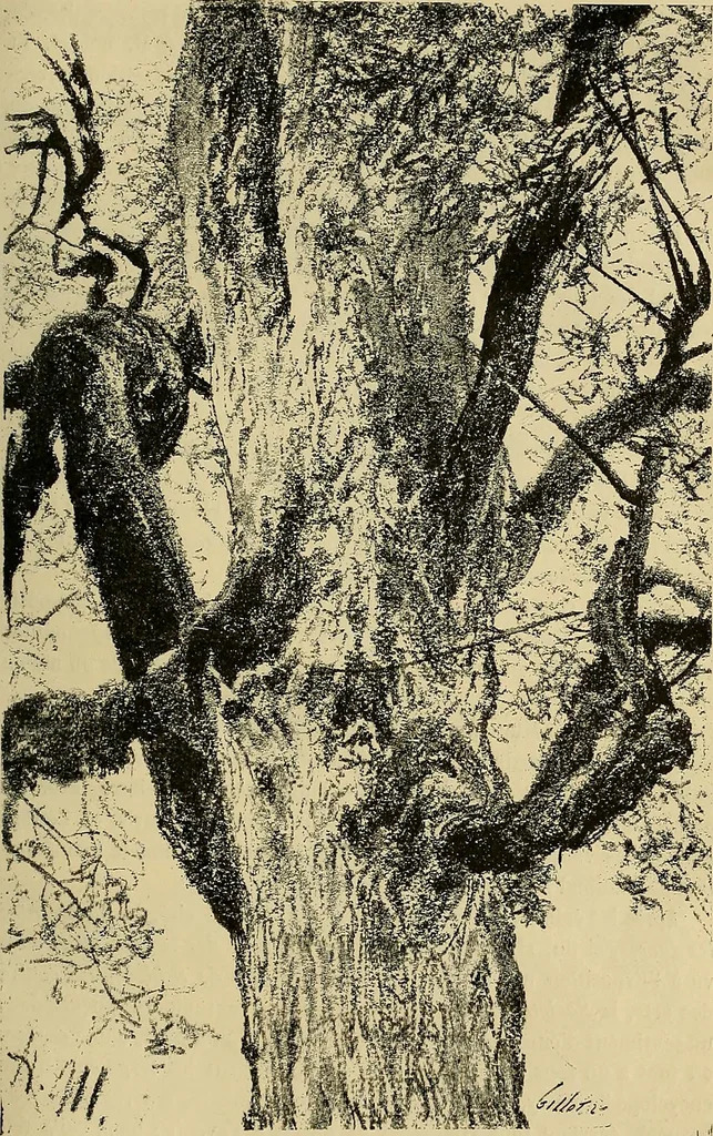 An illustration from Gazette des beaux-arts, 1859, leaf 135