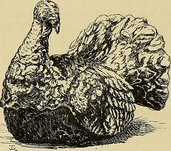 An illustration from Gazette des beaux-arts, 1859, leaf 378
