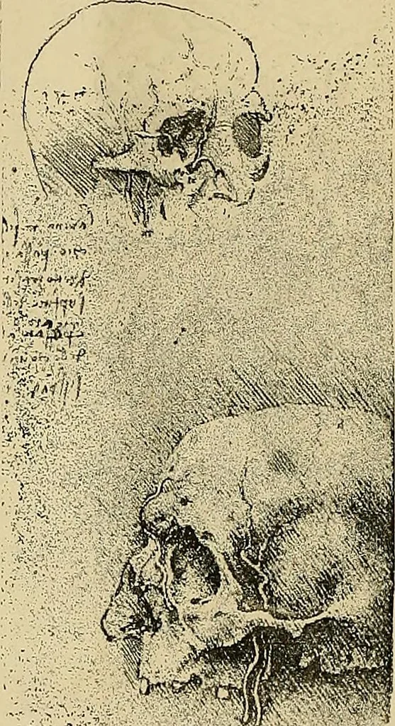 An illustration from Gazette des beaux-arts, 1859, leaf 264