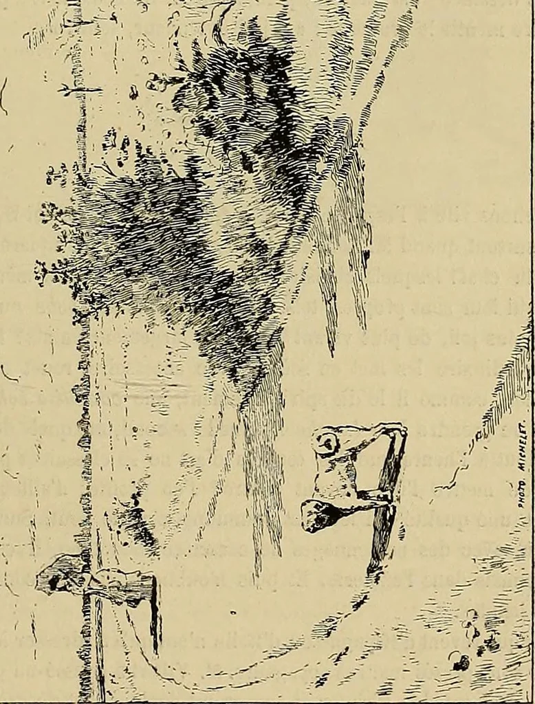 An illustration from Gazette des beaux-arts, 1859, leaf 399