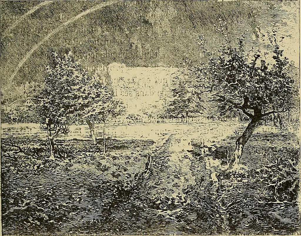An illustration from Gazette des beaux-arts, 1859, leaf 491