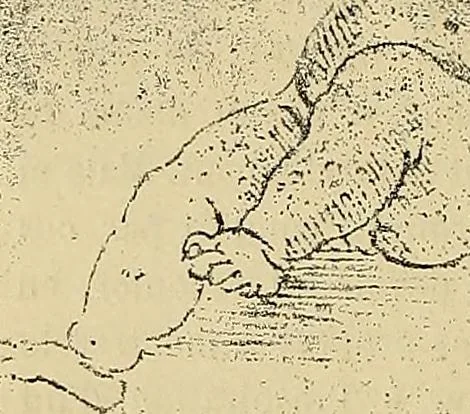 An illustration from Gazette des beaux-arts, 1859, leaf 550