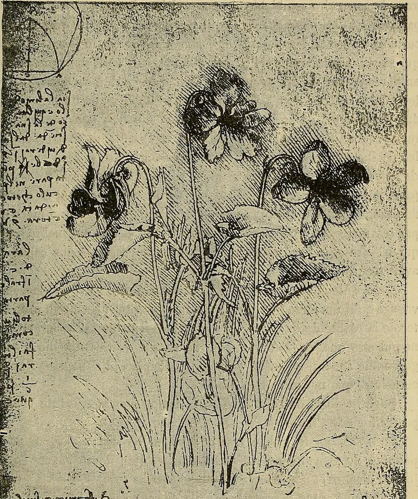 An illustration from Gazette des beaux-arts, 1859, leaf 553