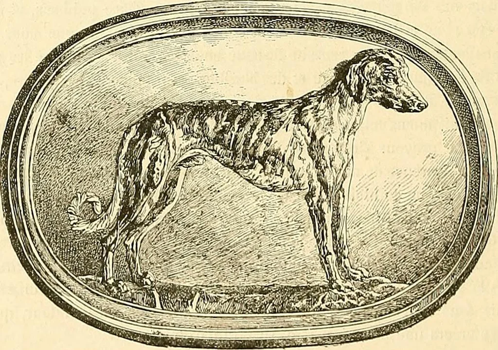An illustration from Gazette des beaux-arts, 1859, leaf 116