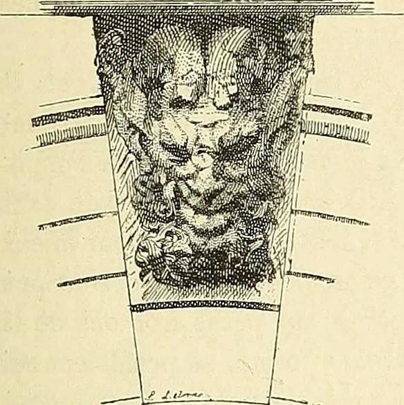 An illustration from Gazette des beaux-arts, 1859, leaf 25