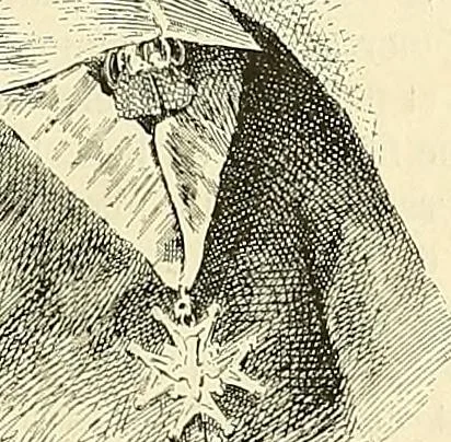 An illustration from Gazette des beaux-arts, 1859, leaf 389
